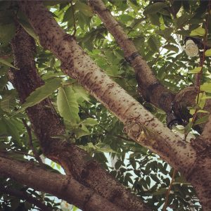 ファイル 2016-07-15 10 10 15