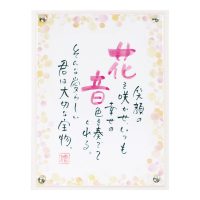 NPM-1012-Wh