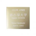 UNP-001NG