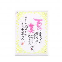 NPG-DS106-Wh